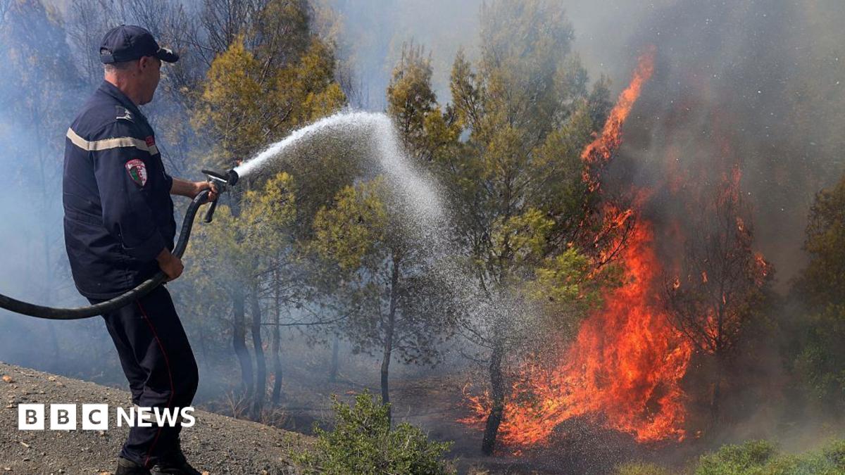 موجة حرائق الغابات تودي بحياة 12 شخصاً في شمال الجزائر